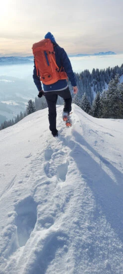 Ortovox Peak 35 - Mountaineering Backpack -Outdoor Equipment ortovox peak 35 tourenrucksack 479eeaaef0ad34f8d4b20e458b7c94a1 1