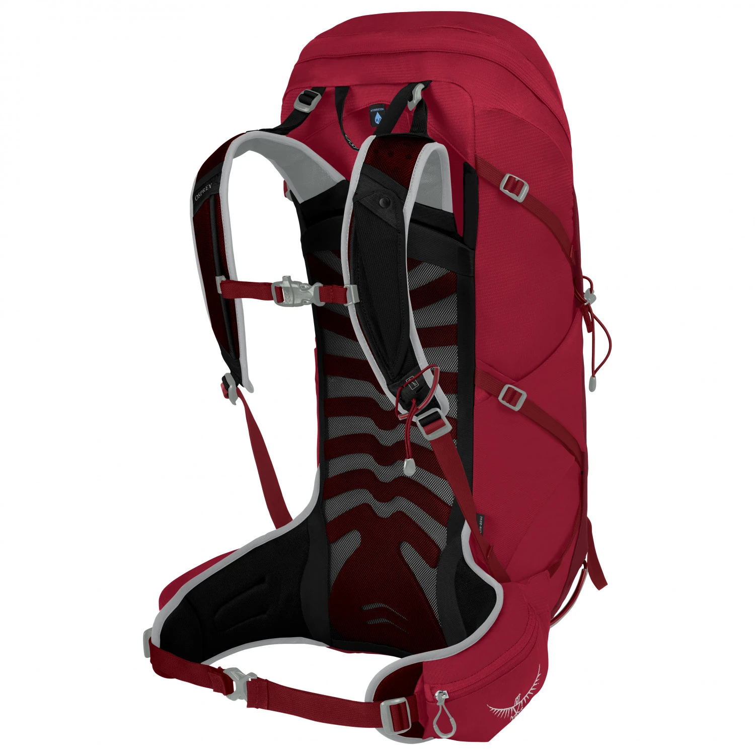 Osprey Talon 36 - Walking Backpack 2 Osprey Talon 36 - Walking Backpack - Image 2
