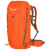 SALEWA Montain Trainer 2 28 - Walking Backpack