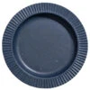 United By Blue Stoneware Dinner Plate - Food Storage